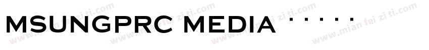 msungprc media字体转换